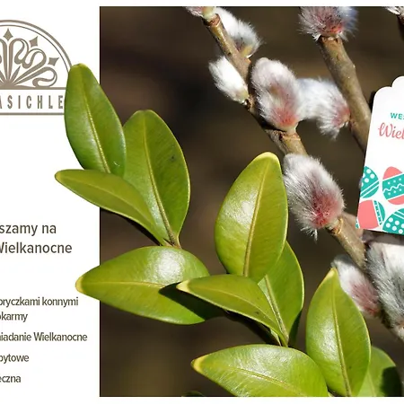 Dw Üdülőközpont *